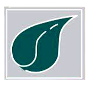 Indo US Bio-Tech Shareholding Pattern