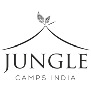 Jungle Camps India