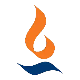 Max Financial Services
