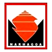 Marmagoa Steel Peer Comparison