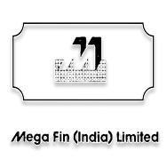 Mega Fin (India)
