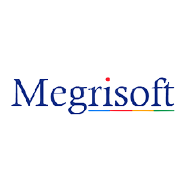 Megri Soft Shareholding Pattern