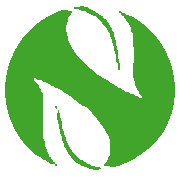Neha International
