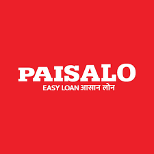 Paisalo Digital Shareholding Pattern