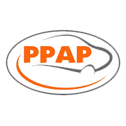 PPAP Automotive Peer Comparison