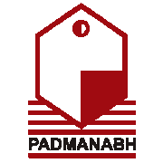 Padmanabh Alloys & Polymers Shareholding Pattern