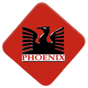 Phoenix International Peer Comparison