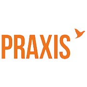 Praxis Home Retail Peer Comparison