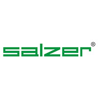 Salzer Electronics Shareholding Pattern