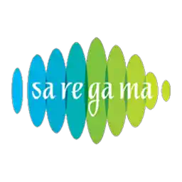 Saregama India Peer Comparison
