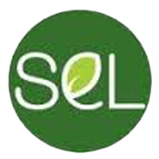 Sel Manufacturing Company Shareholding Pattern