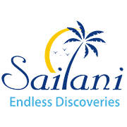 Sailani Tours N Travels Shareholding Pattern