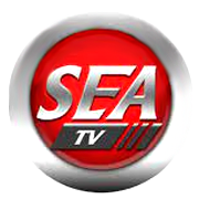 Sea TV Network Shareholding Pattern