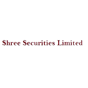 Shree Securities Shareholding Pattern