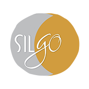 Silgo Retail Shareholding Pattern