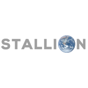 Stallion India Fluorochemicals Shareholding Pattern
