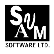 Svam Software Shareholding Pattern