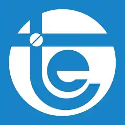 Techno Electric Shareholding Pattern