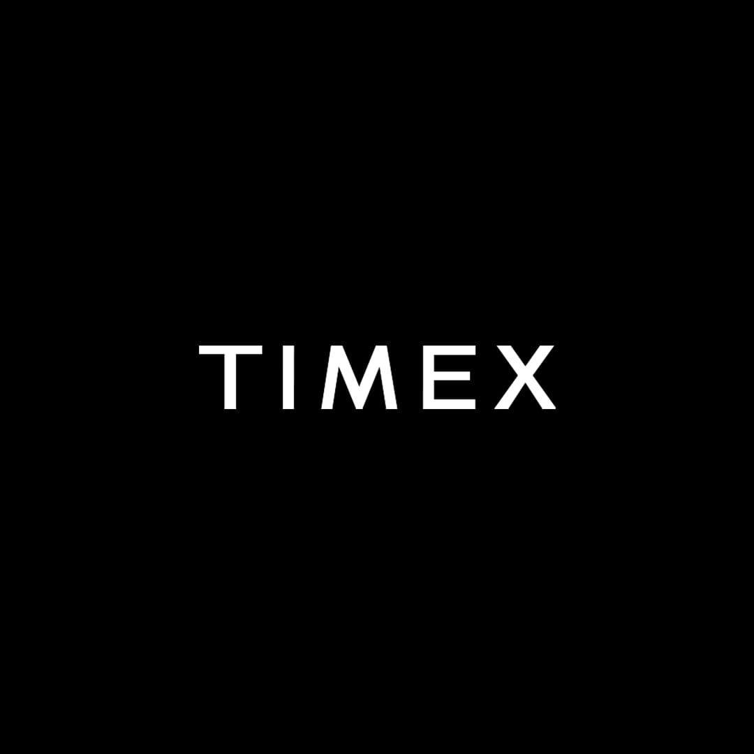 Timex Group India Shareholding Pattern