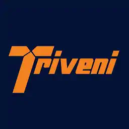 Triveni Turbine Shareholding Pattern