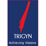 Trigyn Technologies Peer Comparison