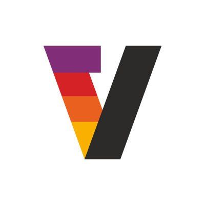 Vertoz Shareholding Pattern