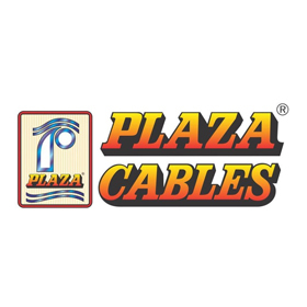 Plaza Wires Limited